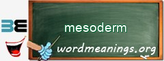 WordMeaning blackboard for mesoderm